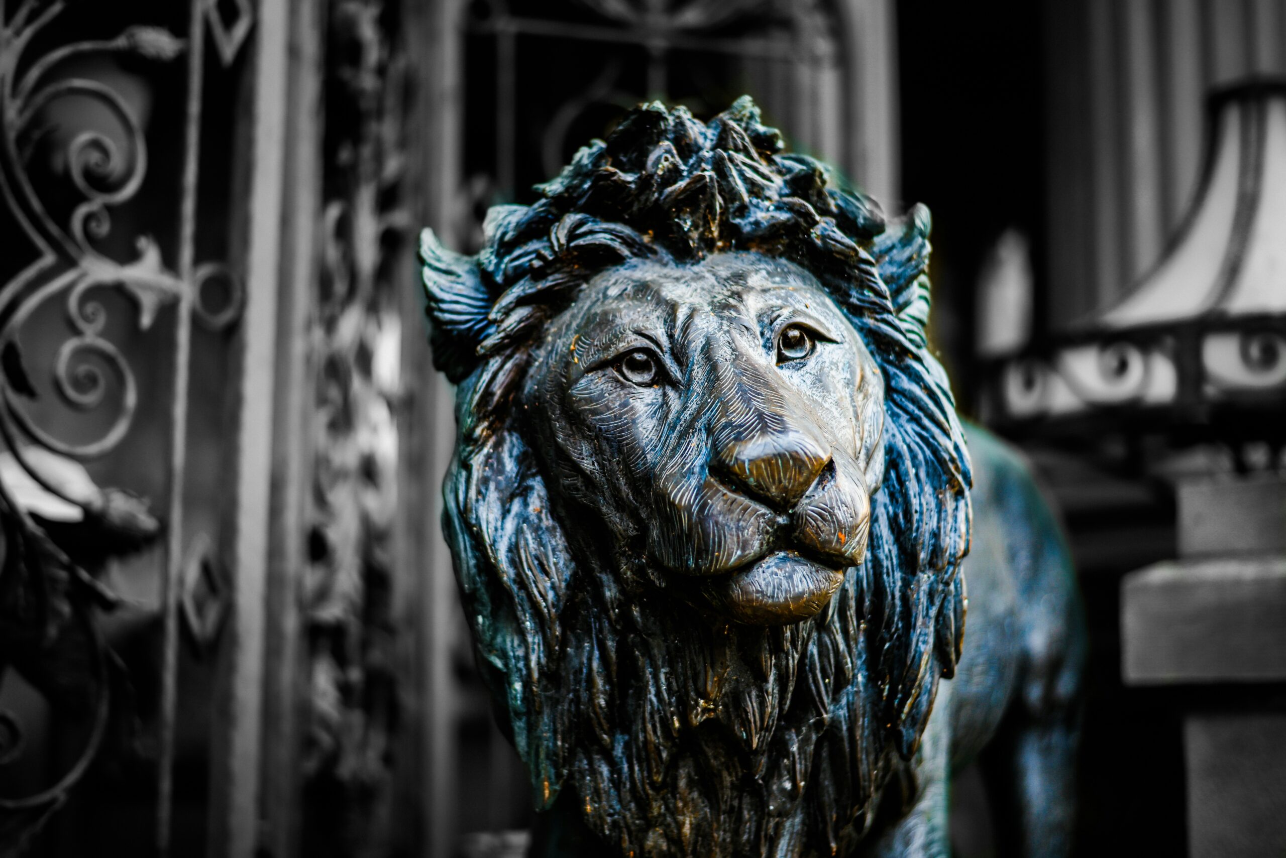 Löwe, schwarze Statue, neugieriger Blick